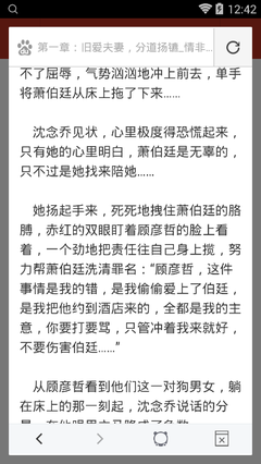 爱游戏app赞助罗马